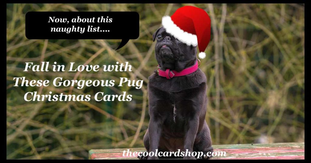 Pug Xmas Cards