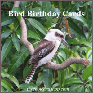 Bird Birthday Cards