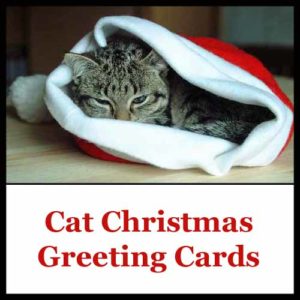 Cat Christmas greeting cards