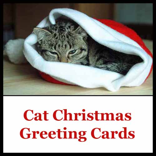 Cat Christmas greeting cards
