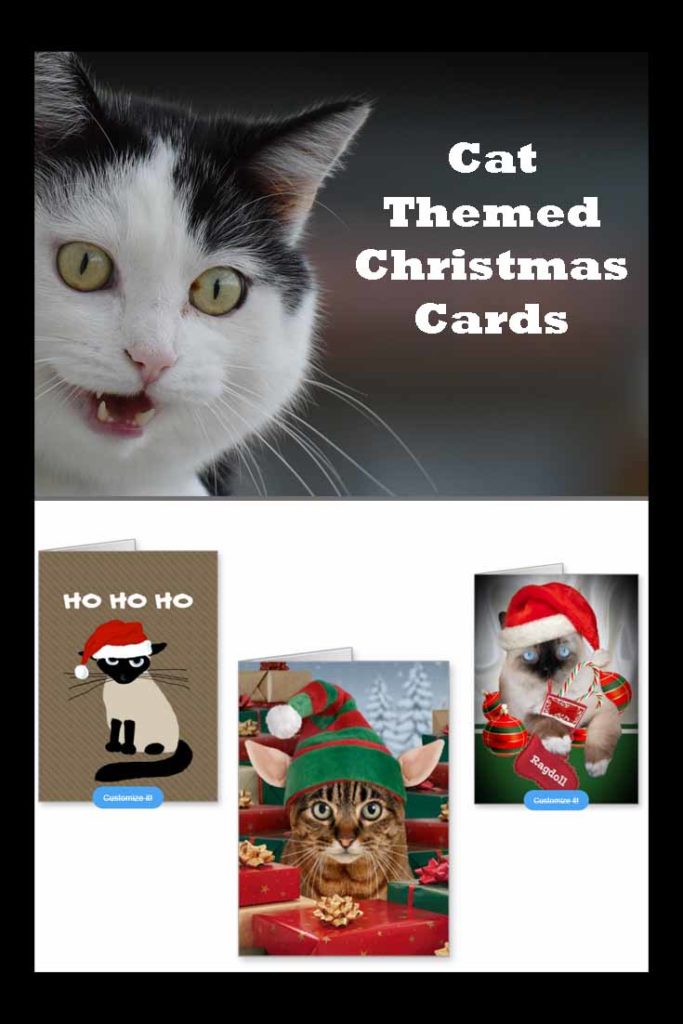 Cat themed Christmas cards
