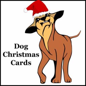 Dog Christmas Greeting Cards
