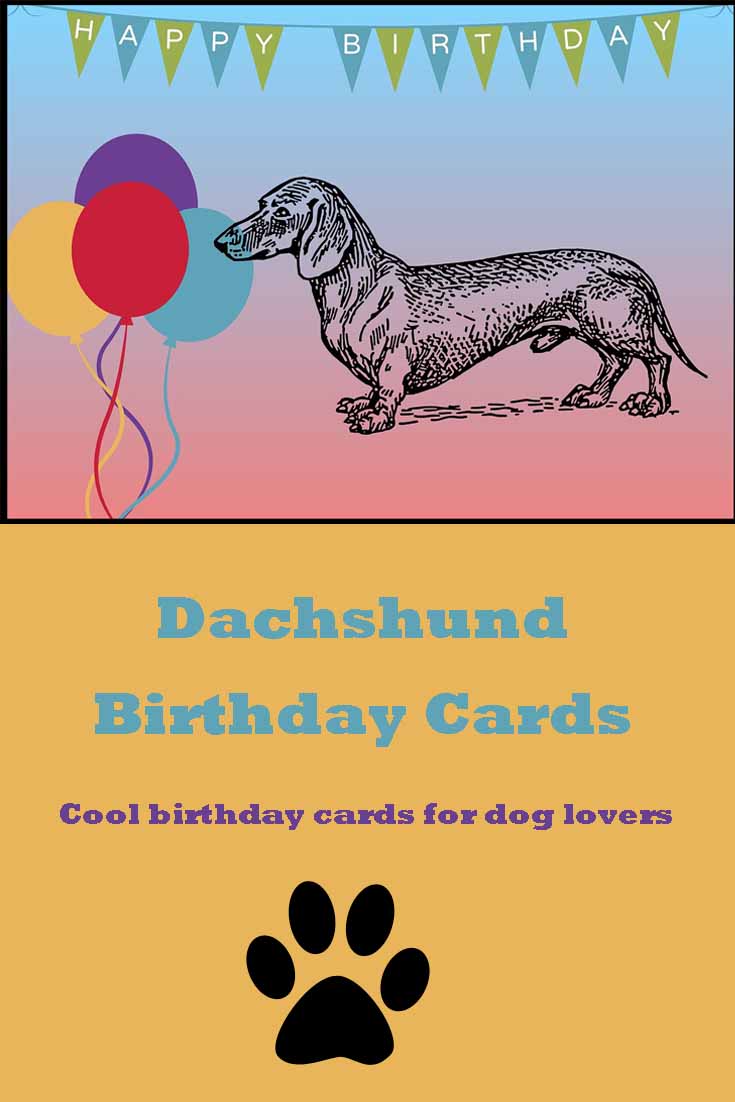 Dachshund Birthday Cards