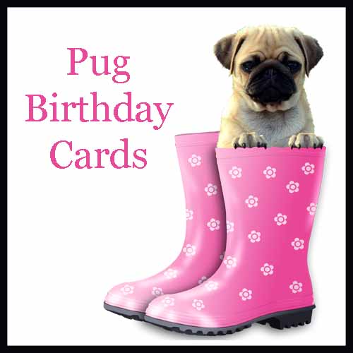 Pug Birthday Cards